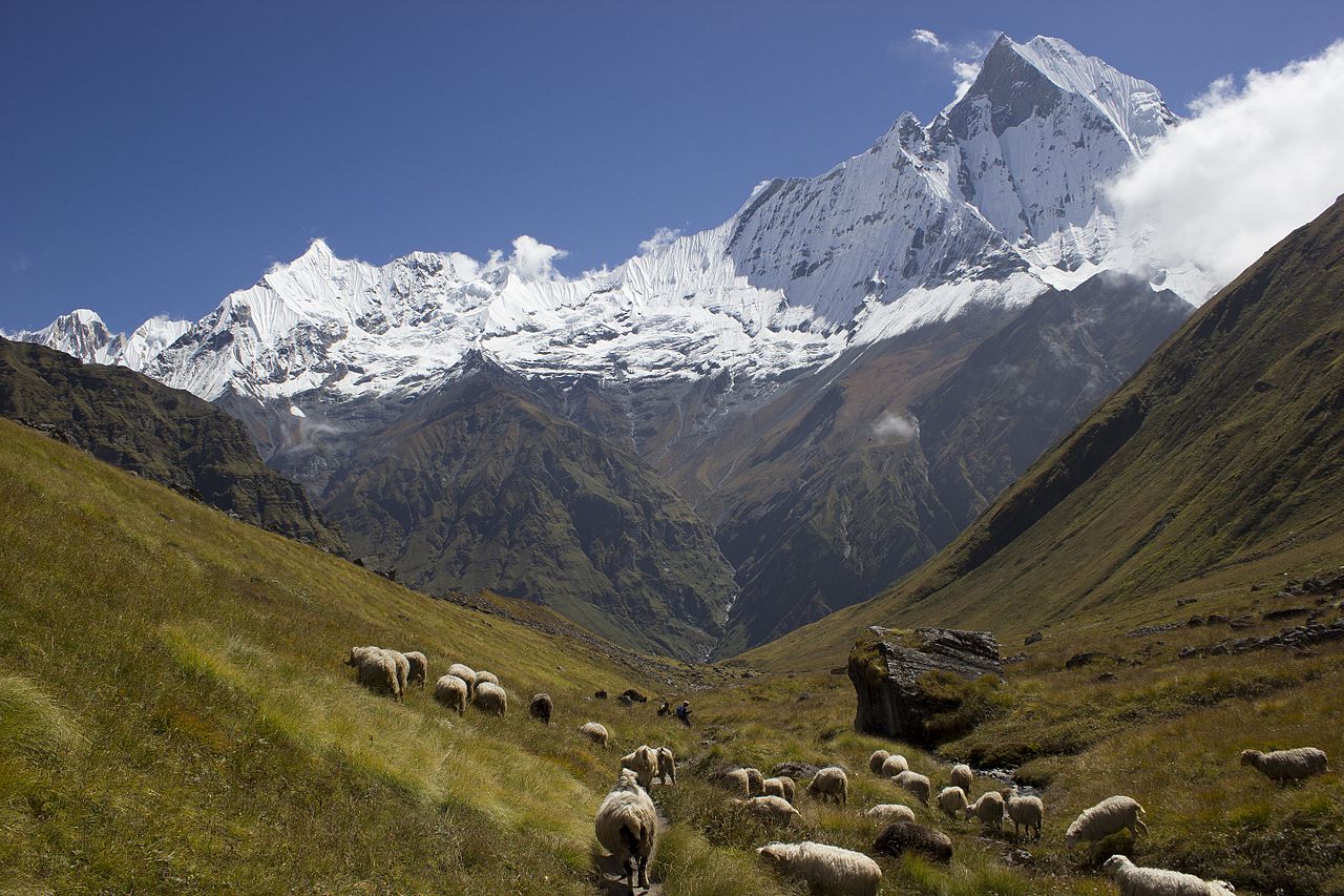 Annapurna Base Camp photo 5