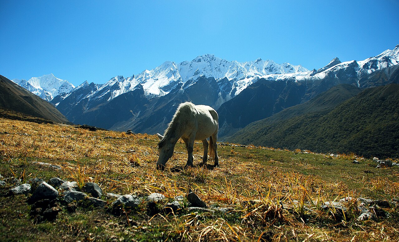 Langtang Valley Trek photo 8