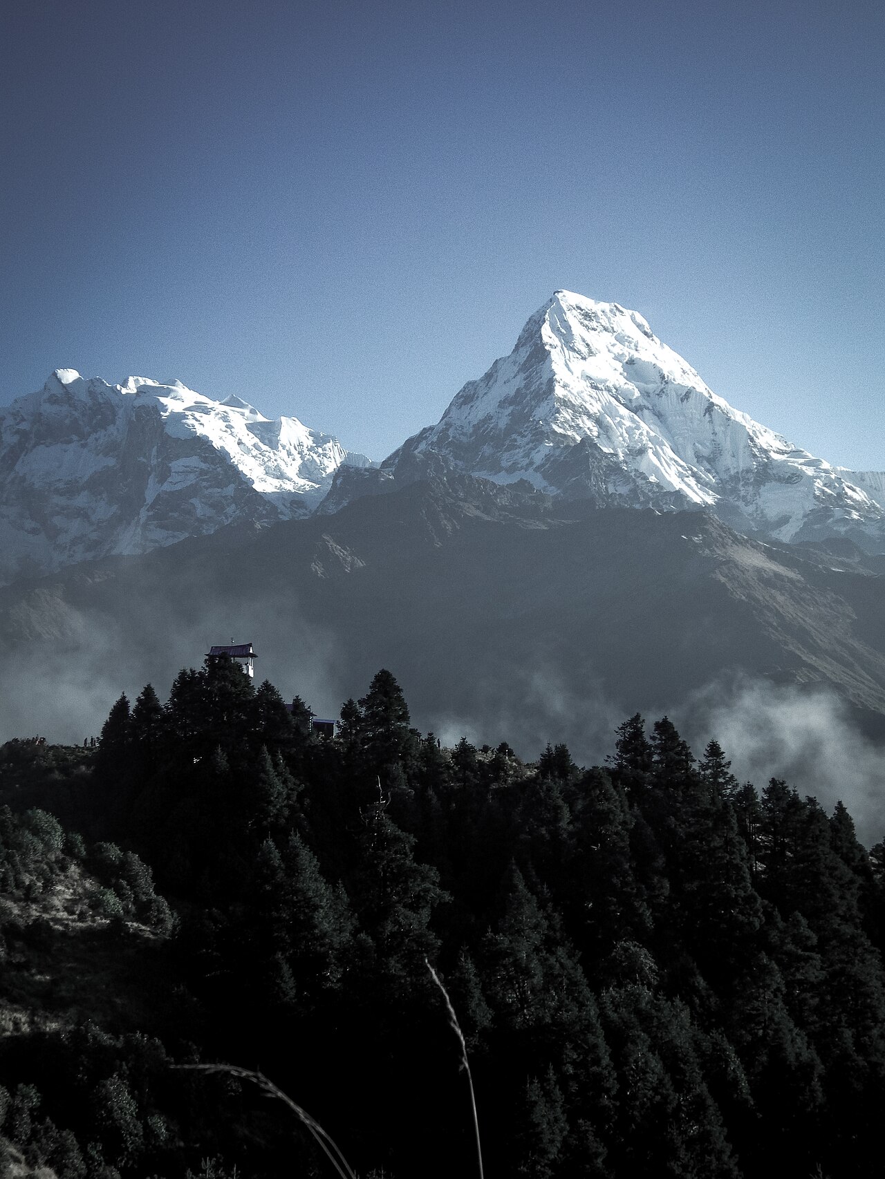 Ghorepani Poon Hill photo 1